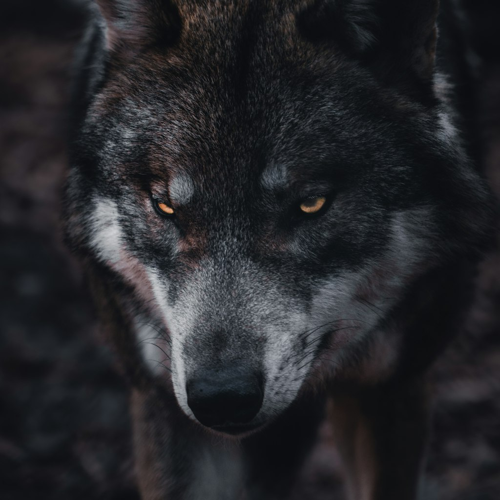 These changes shift the sniper from a lone wolf tool to a support weapon. Your job is to soften targ