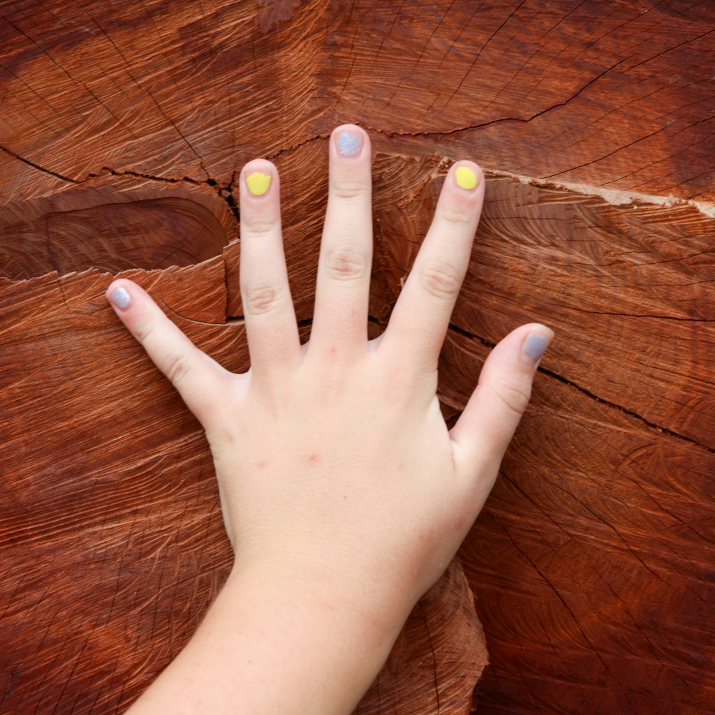 The build is smaller than you think. You need a form your client can fill in, a login so the owner c